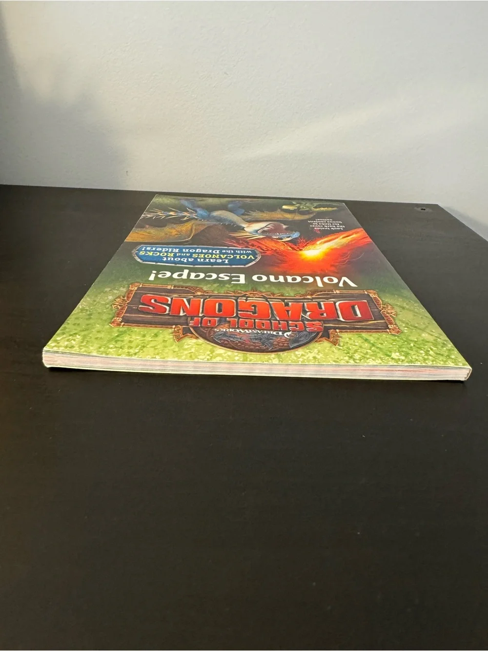 School of Dragons Volcano Escape non-fiction book How to Train Your Dragon